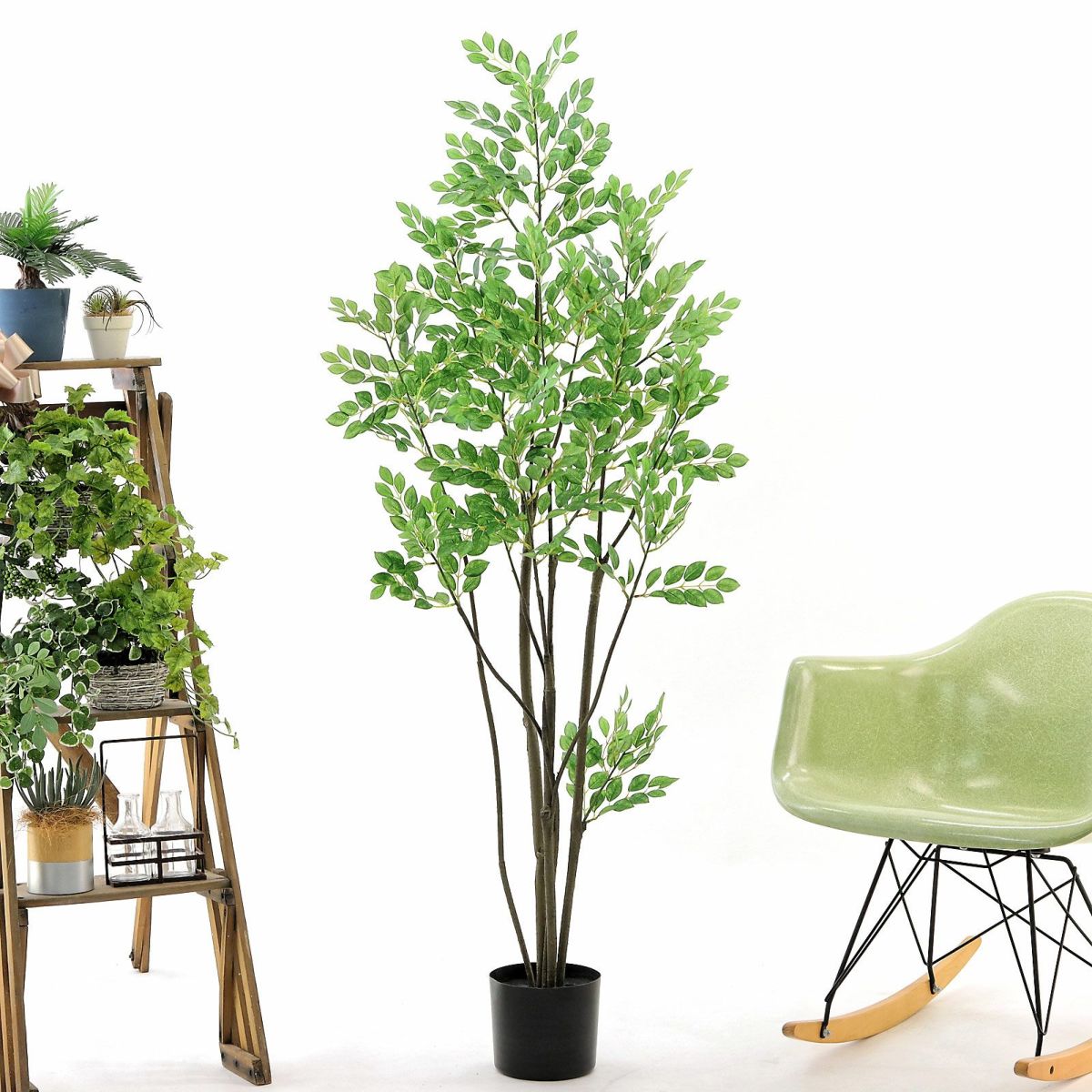 プラ鉢（+0円）