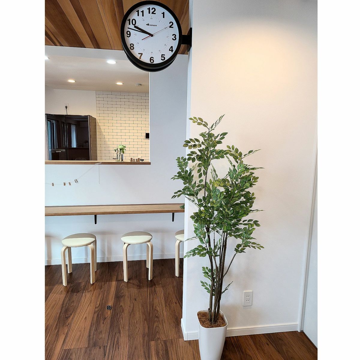 フェイクグリーン の シマトネリコ です