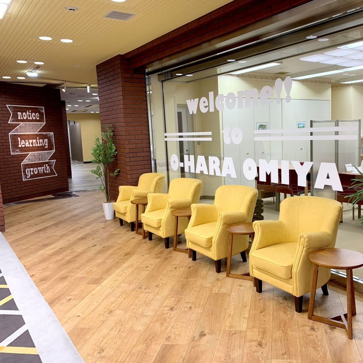 フェイクグリーン の シマトネリコ です