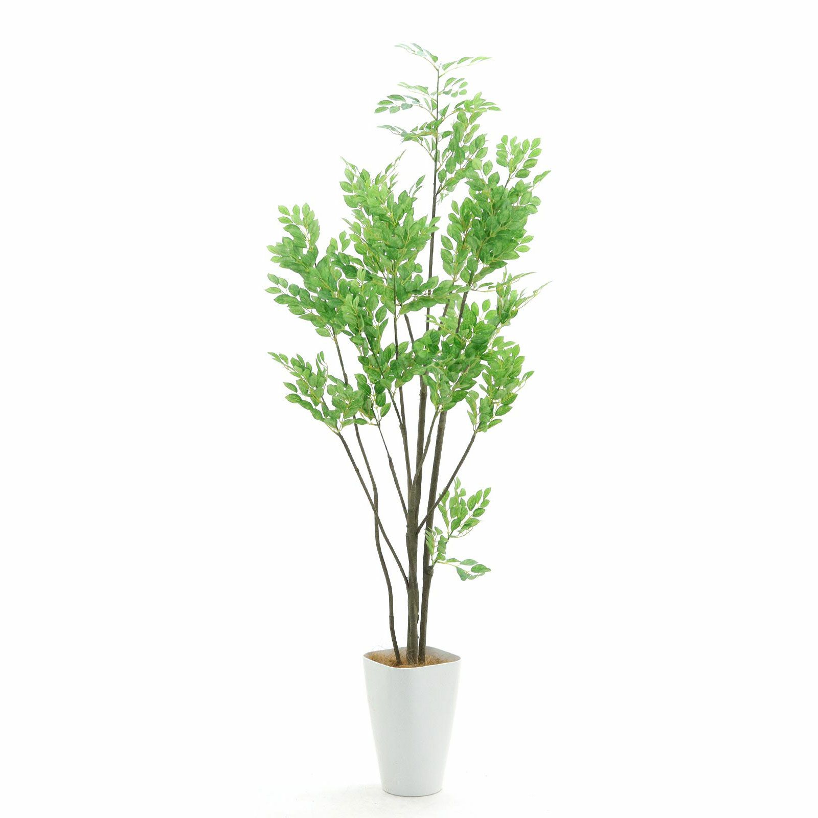 光触媒　人工観葉植物　フェイクグリーン　ヤマモミジ GREEN コアッド230 光触媒 人工観葉植物 フェイクグリーン ヤマモミジ GREEN
