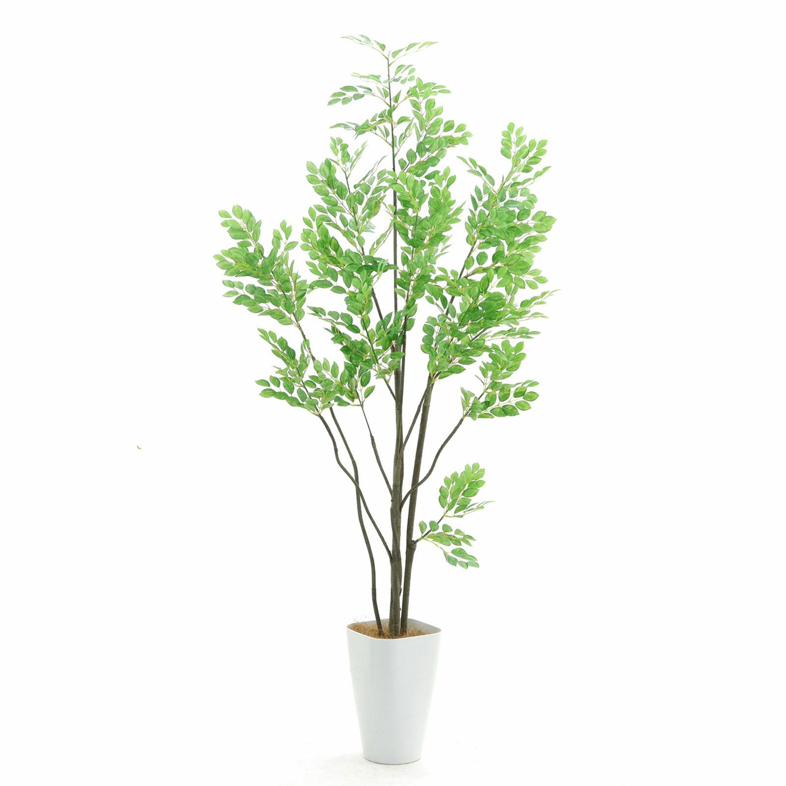 riyotayu　フェイクグリーン　160cm 観葉植物　シマトネリコ riyotayu フェイクグリーン 160cm 観葉植物 シマトネリコ riyotayu