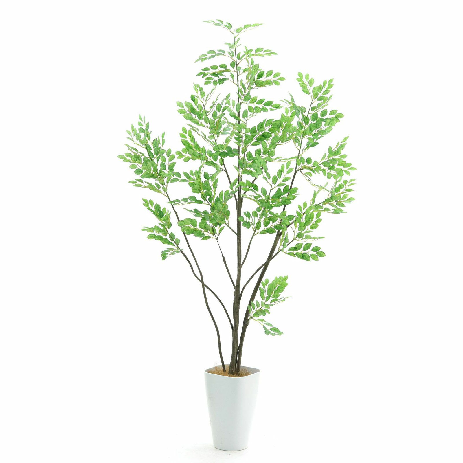 観葉植物 約80cm 羽状葉 緑 No9328 プレミアム光触媒フェイクグリーン 「繊細な葉の重なり
