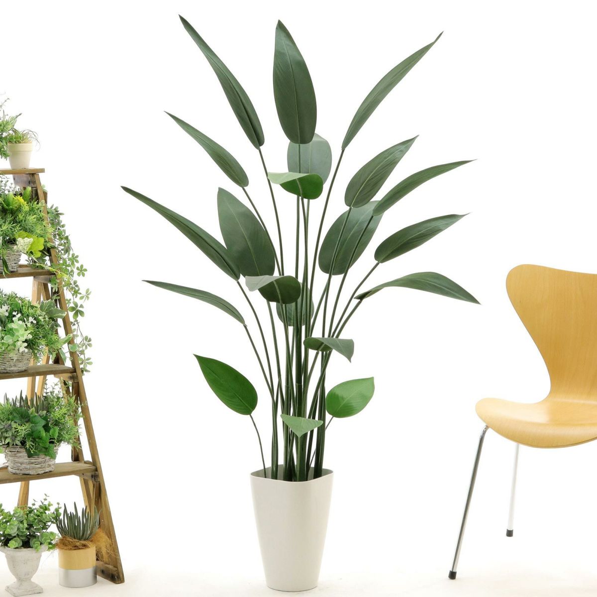 スマートポット CHIC8（+1000円）