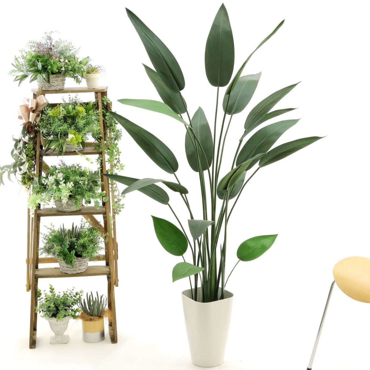 スマートポット CHIC8（+1000円）