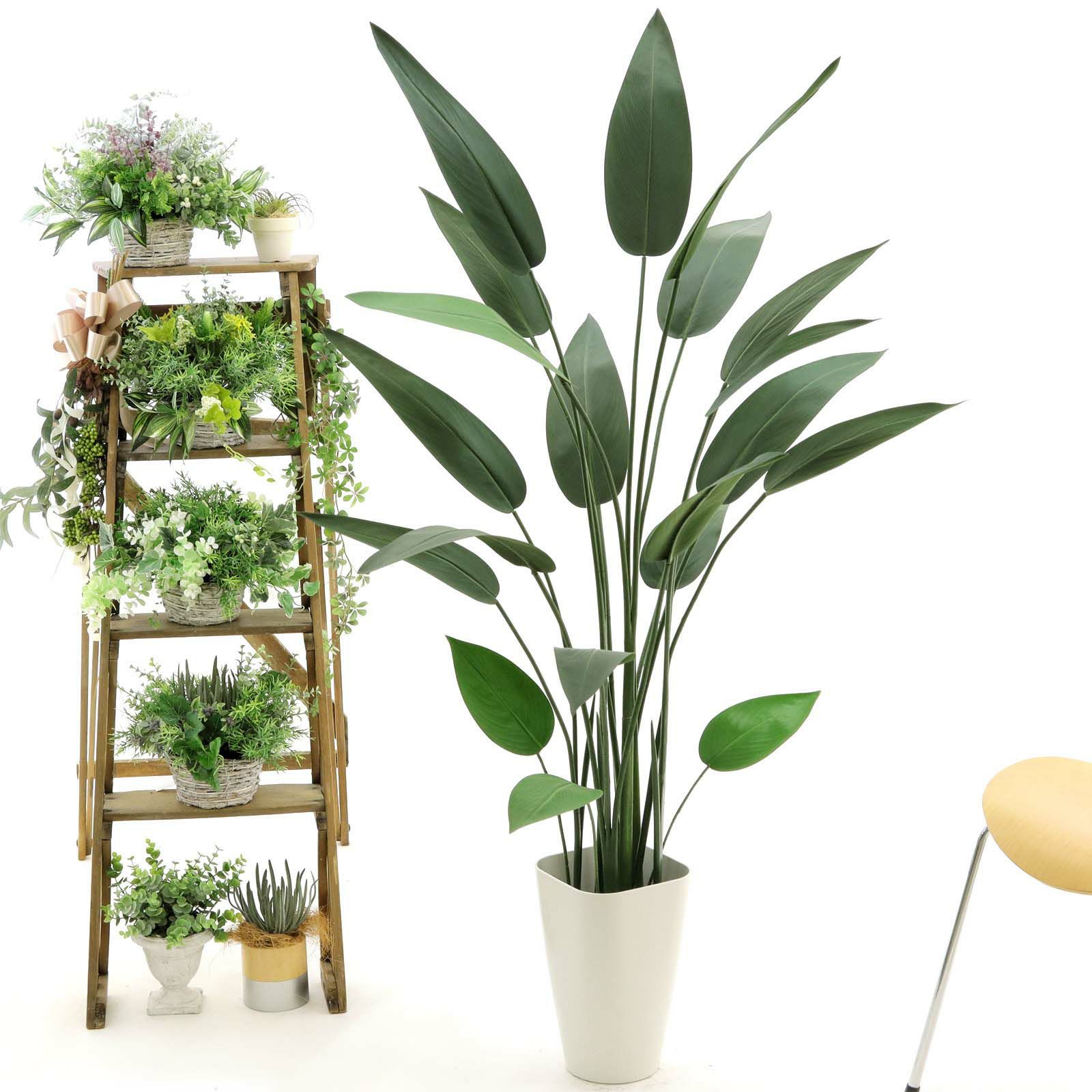 光触媒　人工観葉植物　ウォールグリーン　フェイクグリーン　ストレチアレギア 光触媒 人工観葉植物 ウォールグリーン フェイク フラワー ホワイト