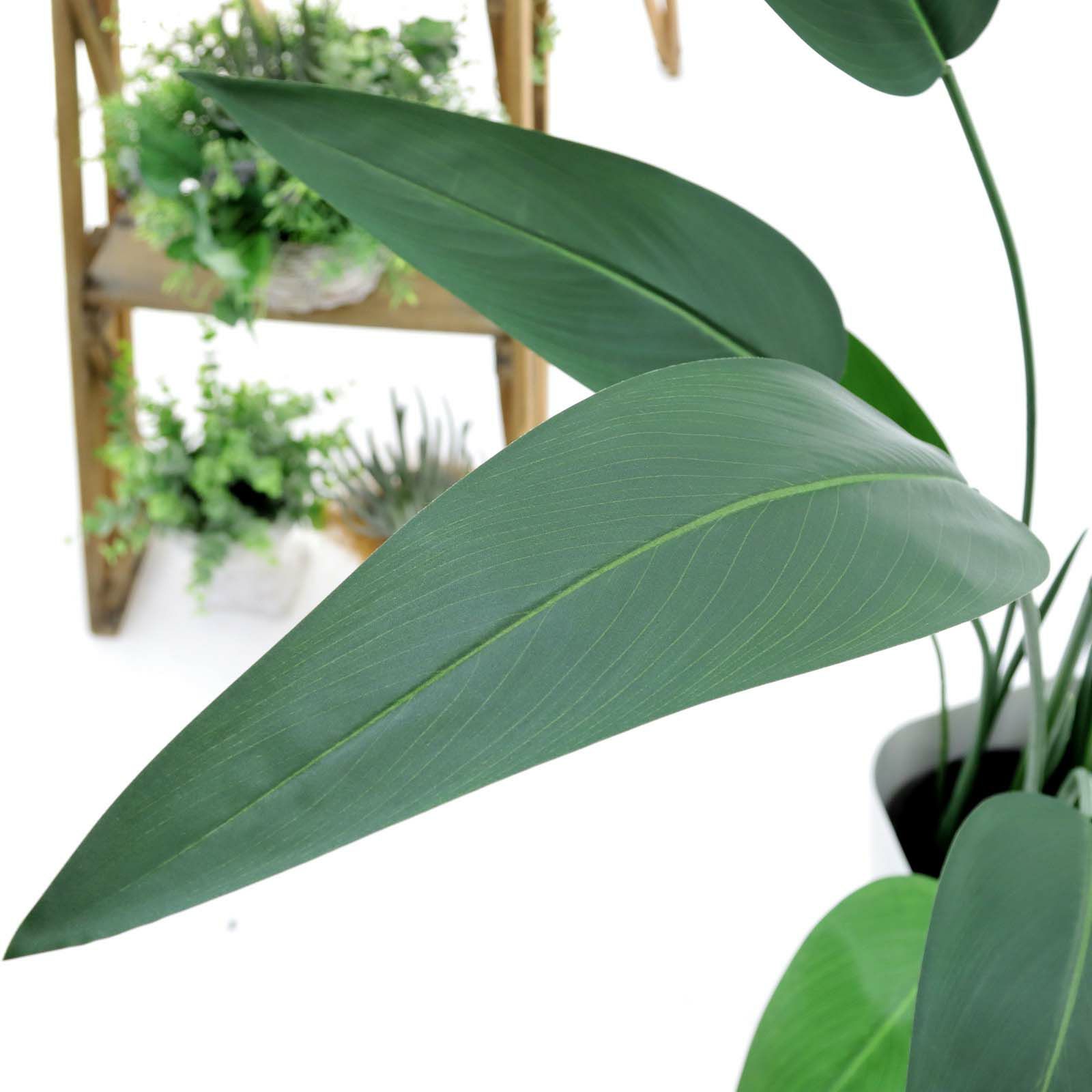 楽天市場】ストレリチア ニコライ 100cm 極楽鳥花 人工観葉植物
