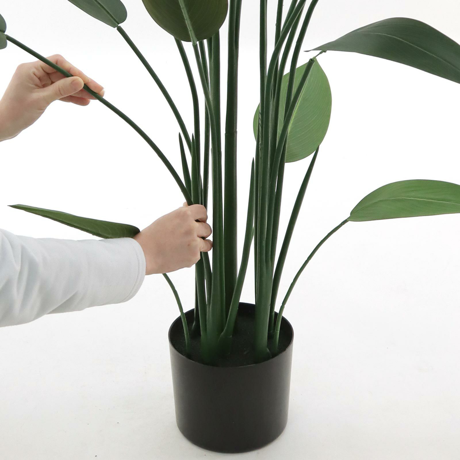 CT触媒インテリアグリーン ストレリチア 高さ115cm ストレリチア ストレチア 大型 観葉植物 おしゃれ 人気