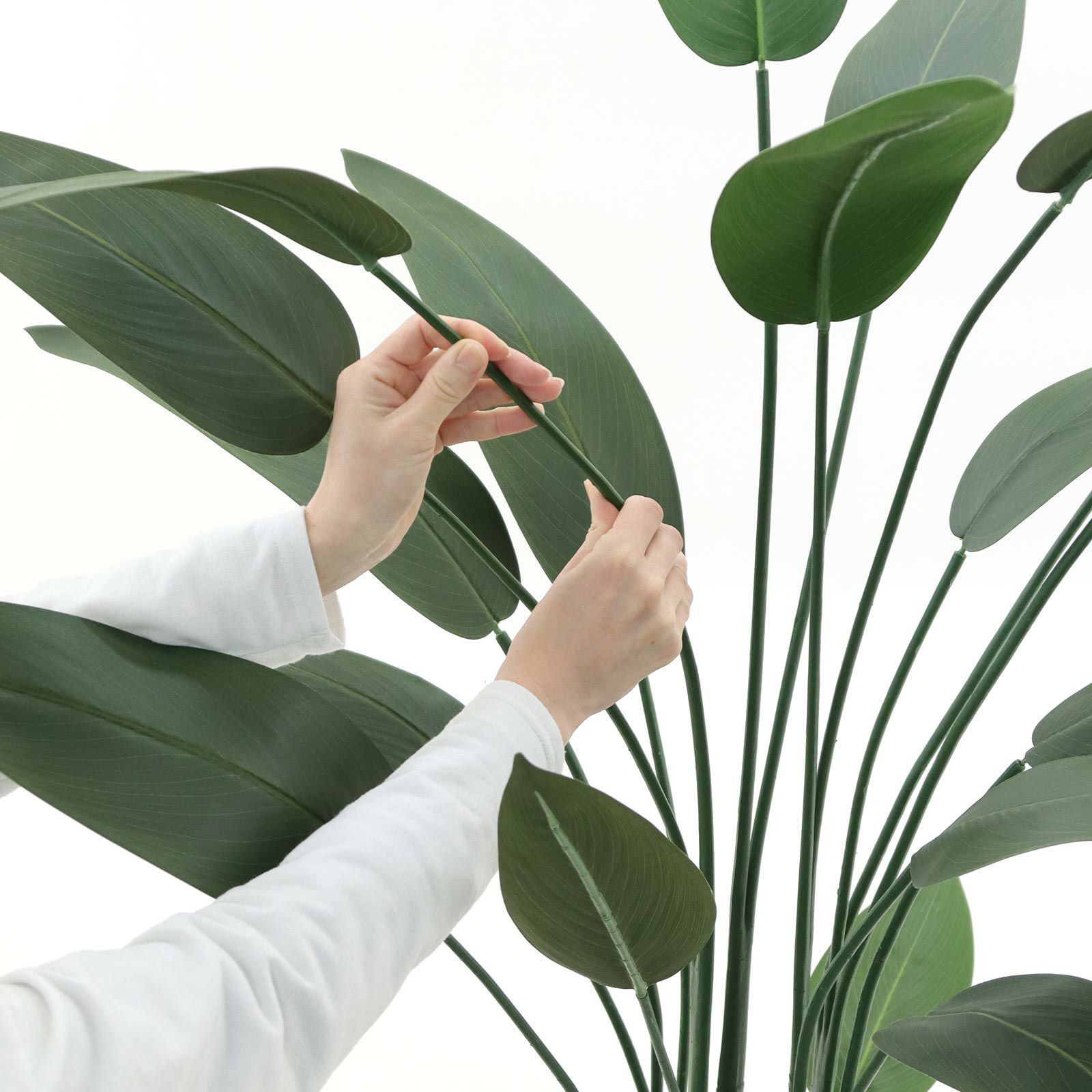 光触媒　人工観葉植物　ウォールグリーン　フェイクグリーン　ストレチアレギア No9356 プレミアム光触媒フェイクグリーン 「シャープな葉