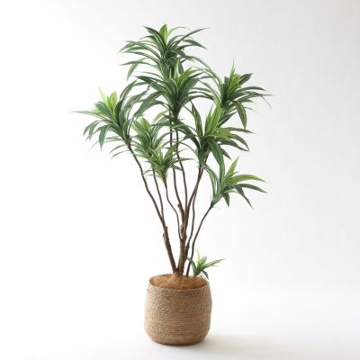 プレミアム光触媒フェイクグリーン 造花ドットコム zouka.com