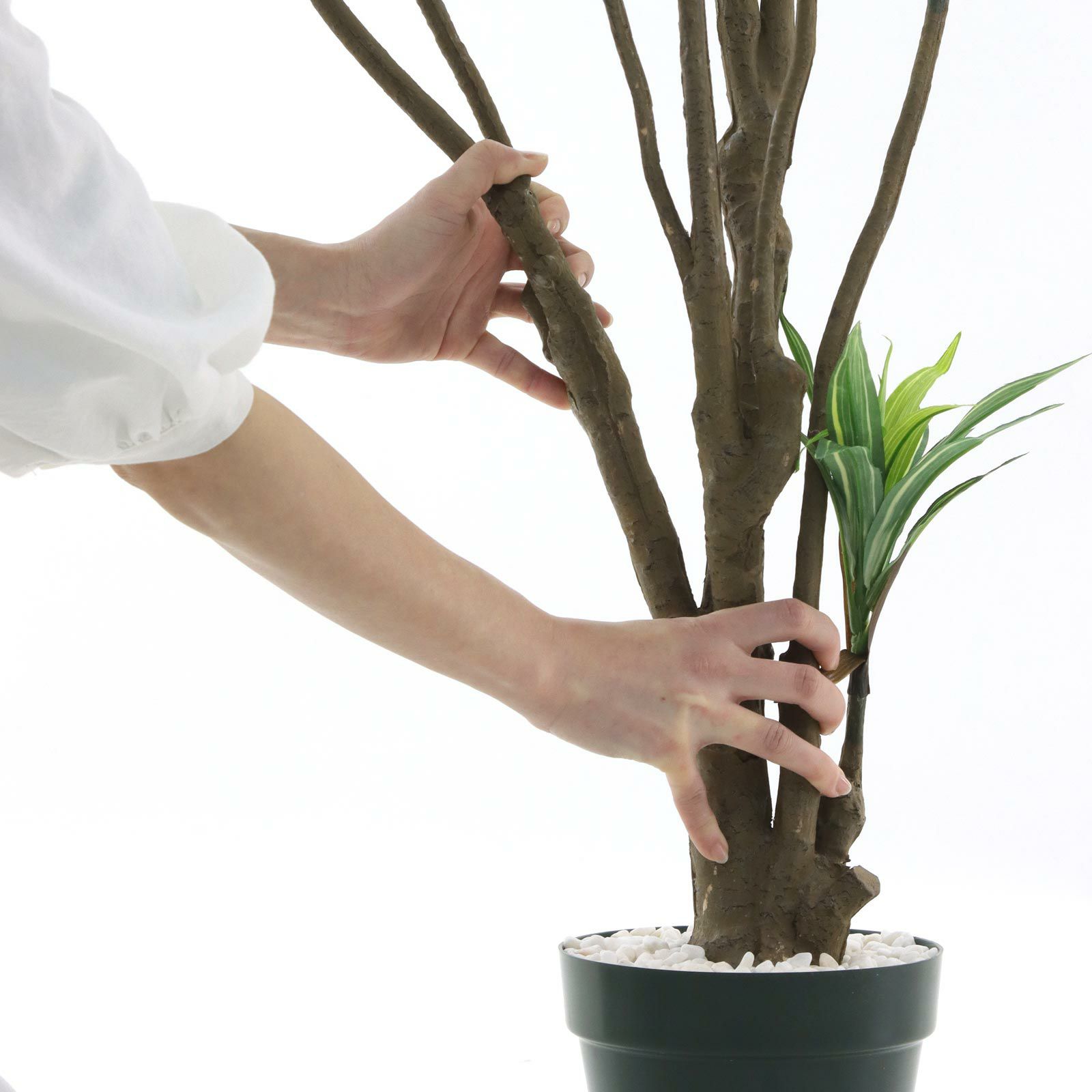 光触媒　人工観葉植物　ウォールグリーン　フェイクグリーン　ドラセナアレンジ854 光触媒 人工観葉植物 ウォールグリーン フェイクグリーン
