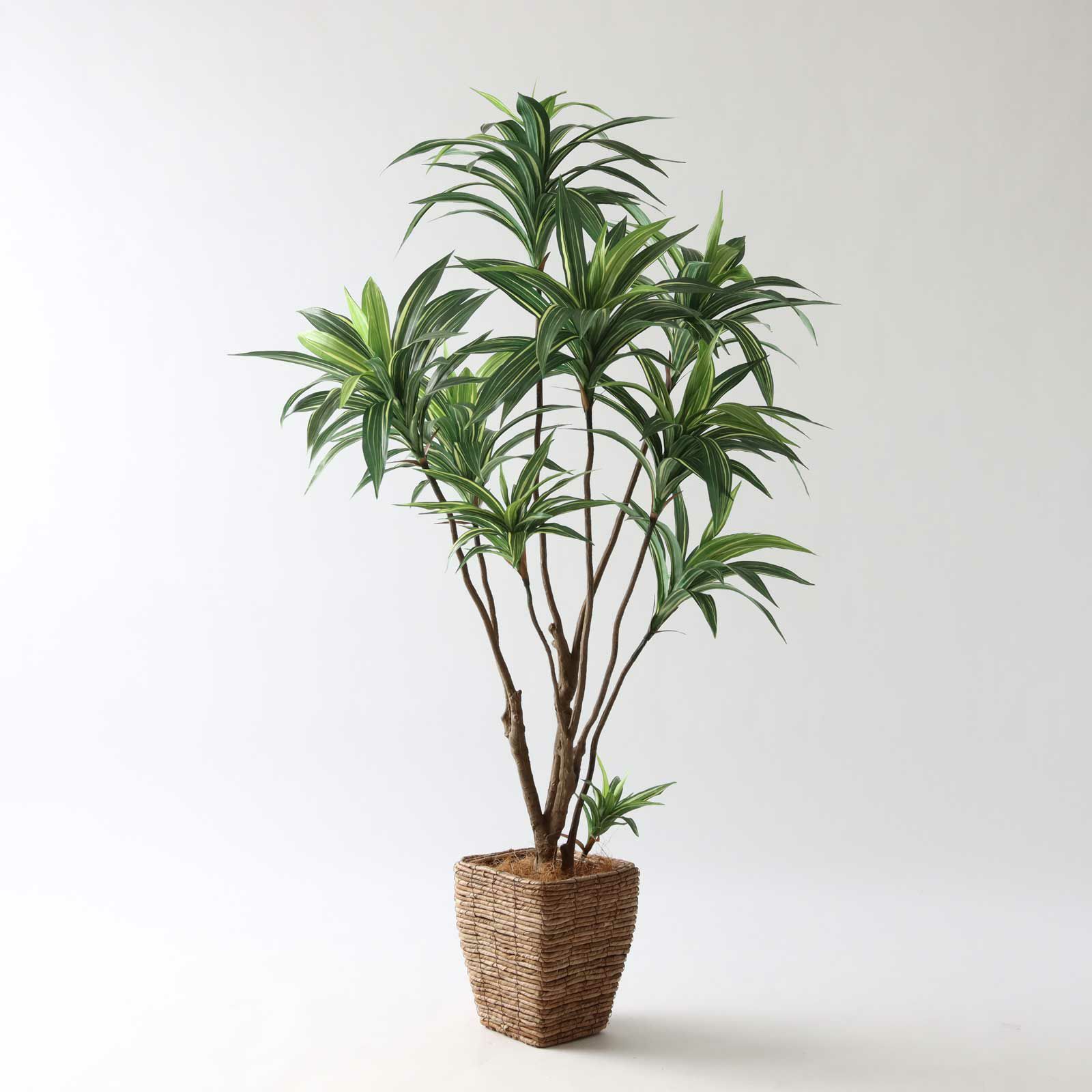 No8271 プレミアム光触媒フェイクグリーン 「爽やかな斑入り葉