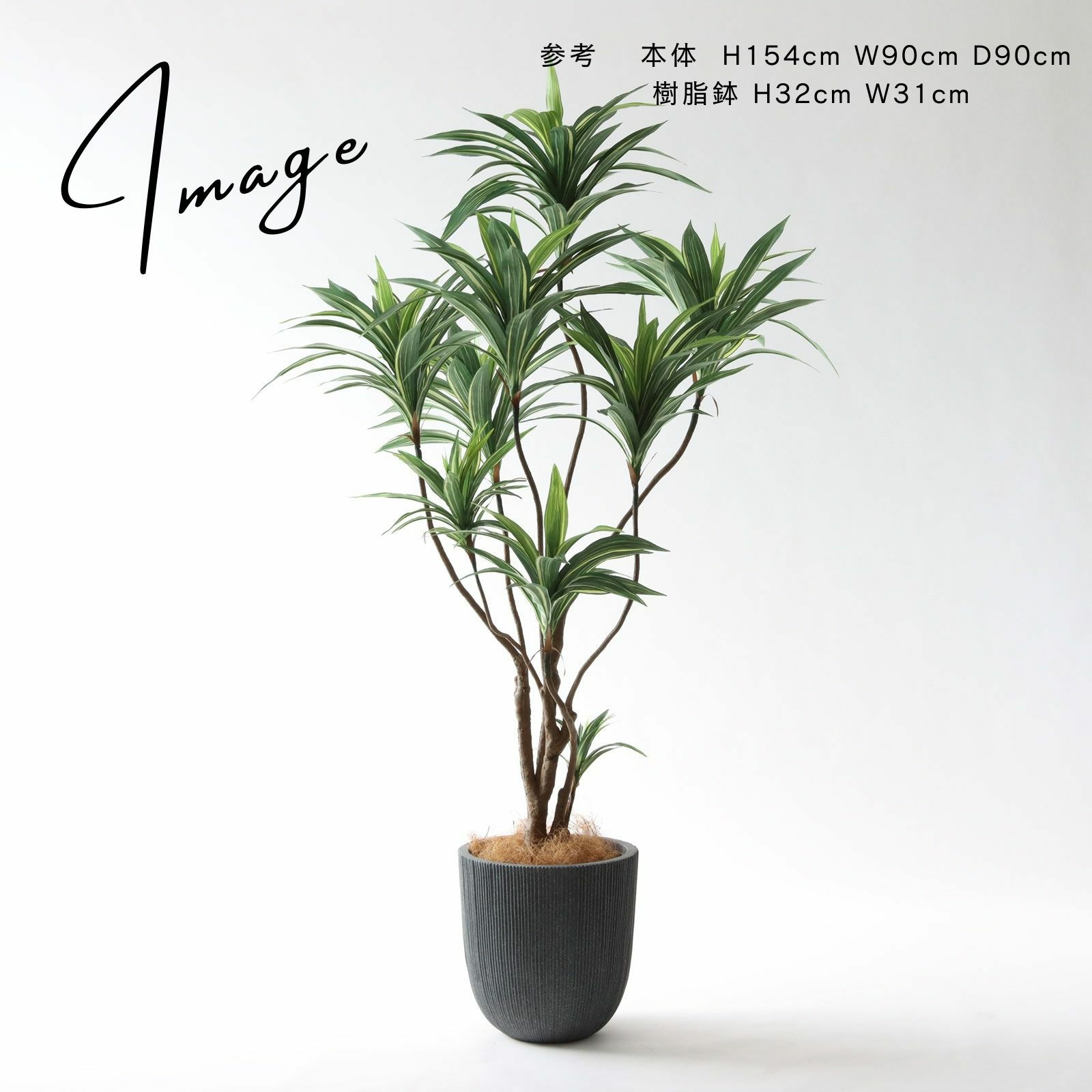 No8271 プレミアム光触媒フェイクグリーン 「爽やかな斑入り葉