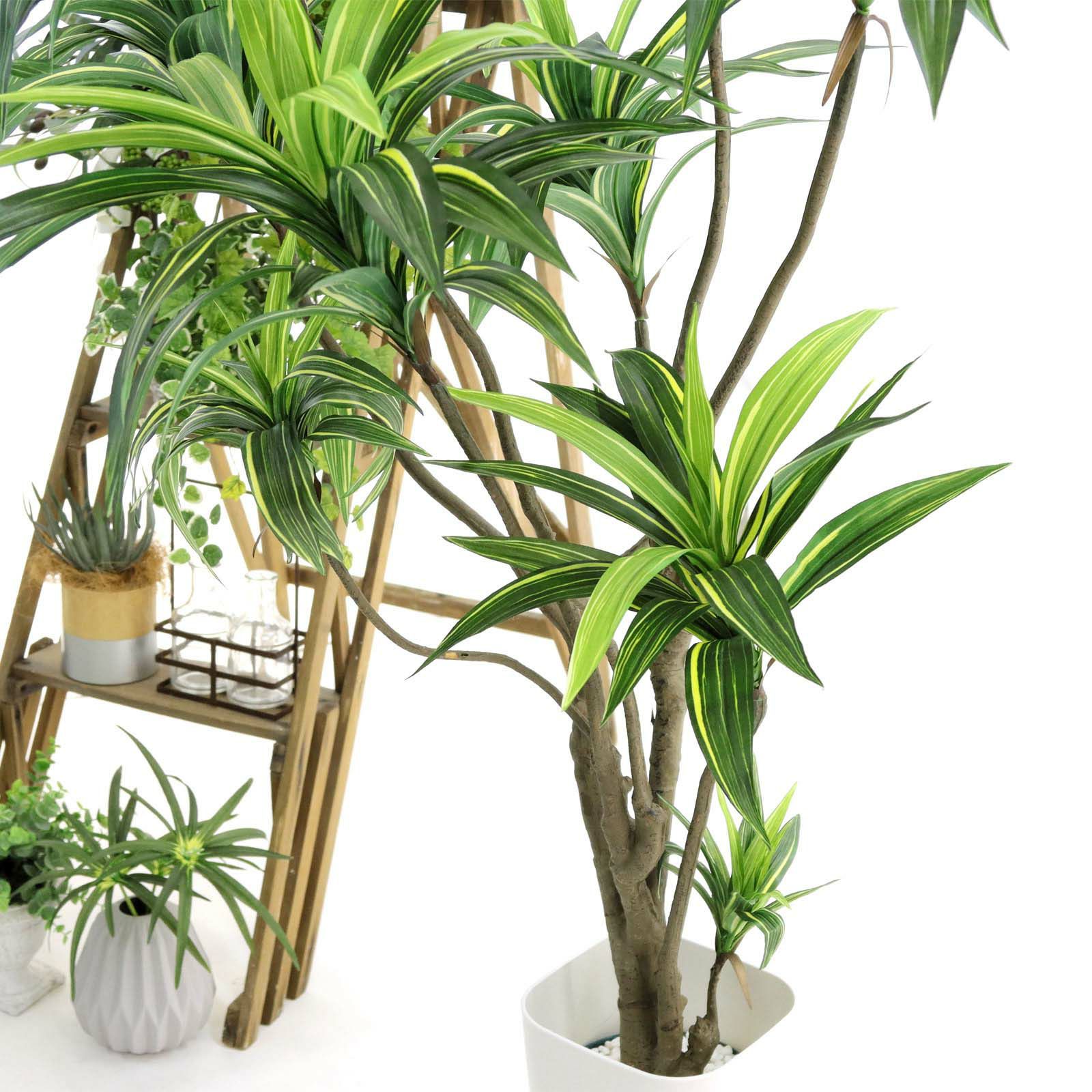 No8271 プレミアム光触媒フェイクグリーン 「爽やかな斑入り葉