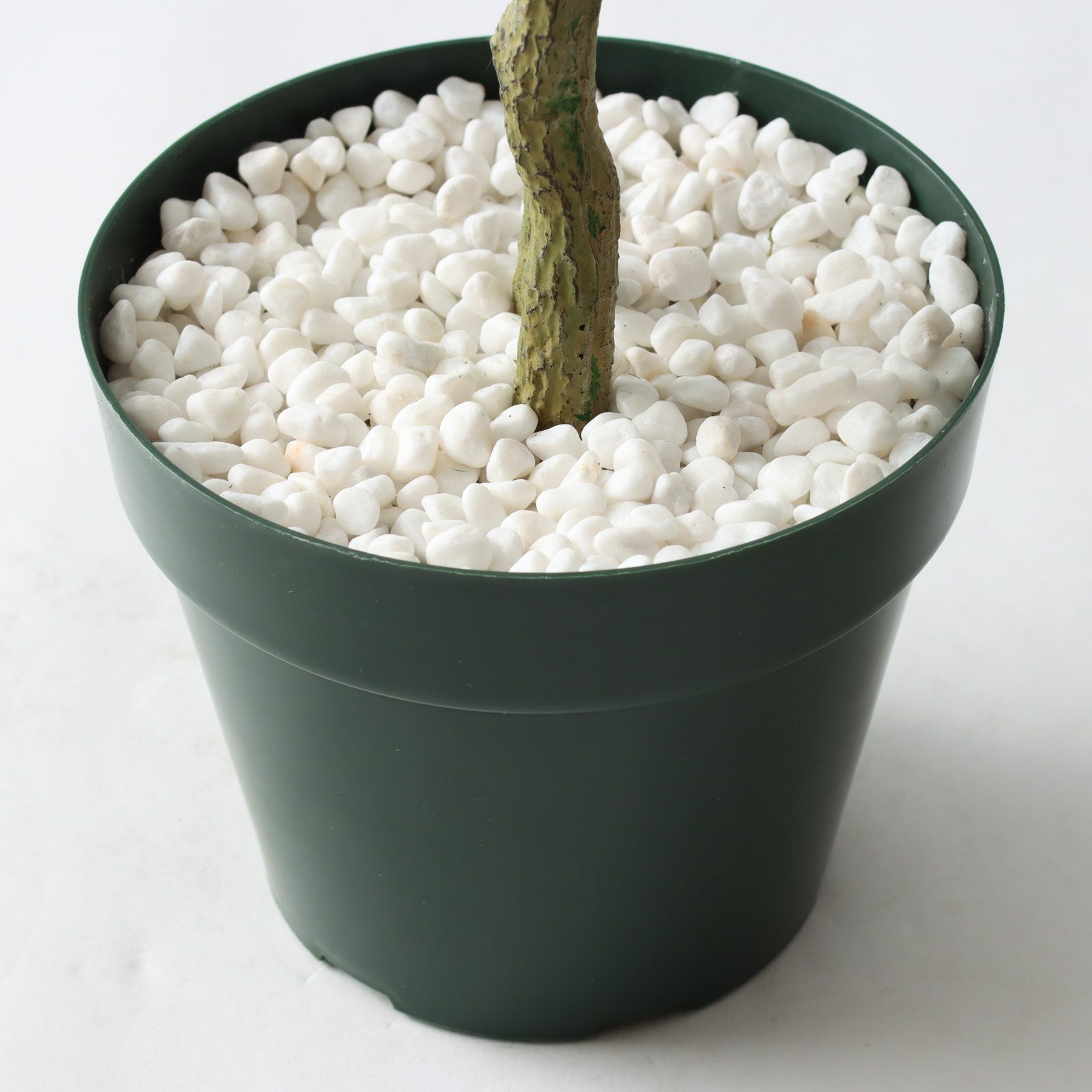 No8271 プレミアム光触媒フェイクグリーン 「爽やかな斑入り葉