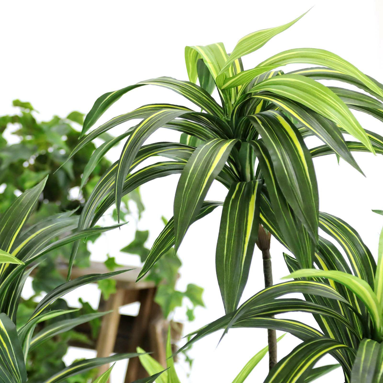 No8271 プレミアム光触媒フェイクグリーン 「爽やかな斑入り葉