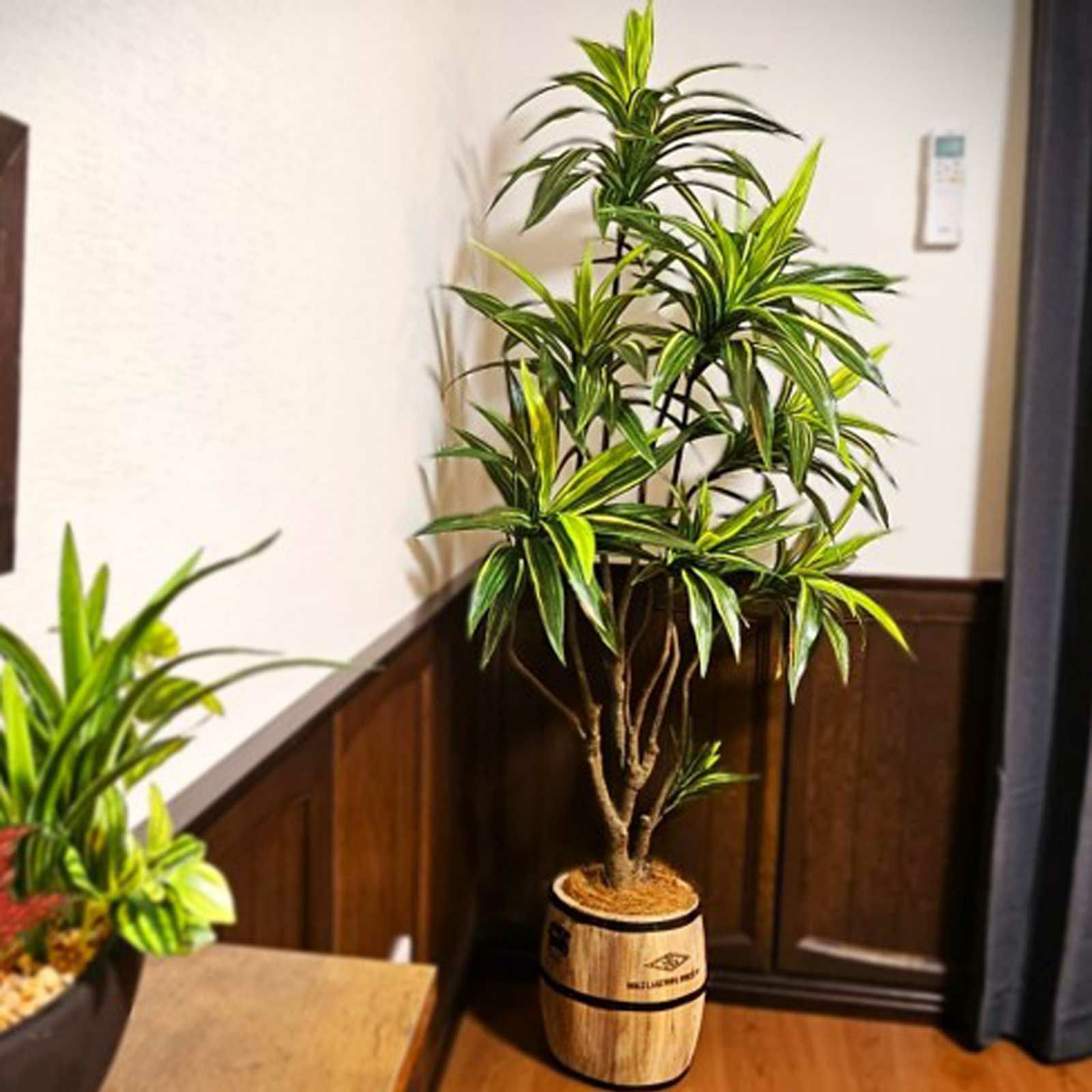 No8271 プレミアム光触媒フェイクグリーン 「爽やかな斑入り葉