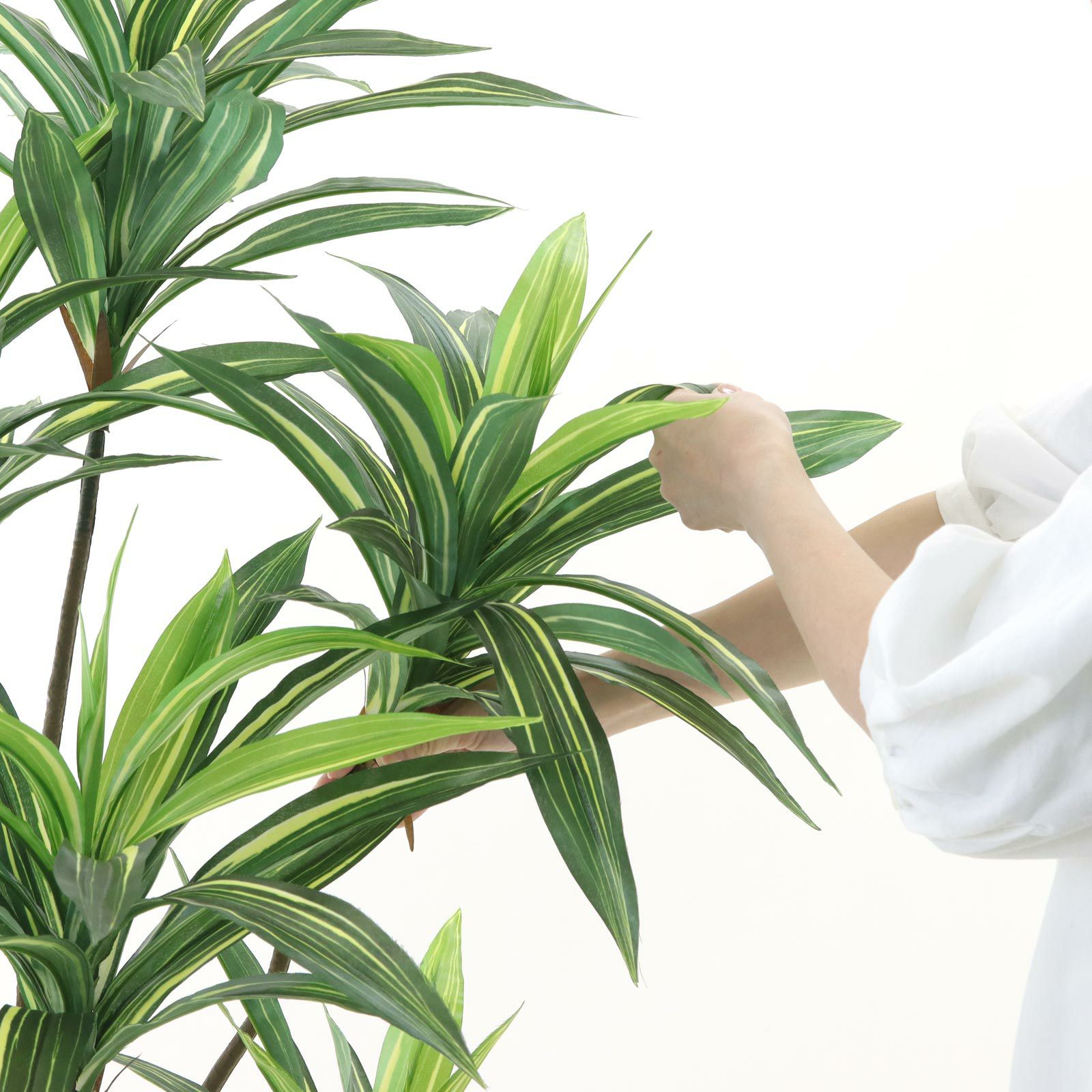 No8271 プレミアム光触媒フェイクグリーン 「爽やかな斑入り葉