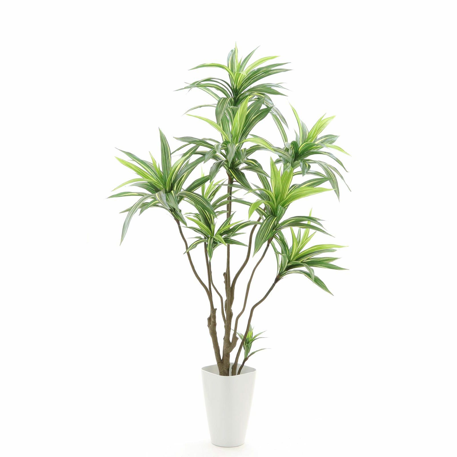 000000000080-38.jpg?t=