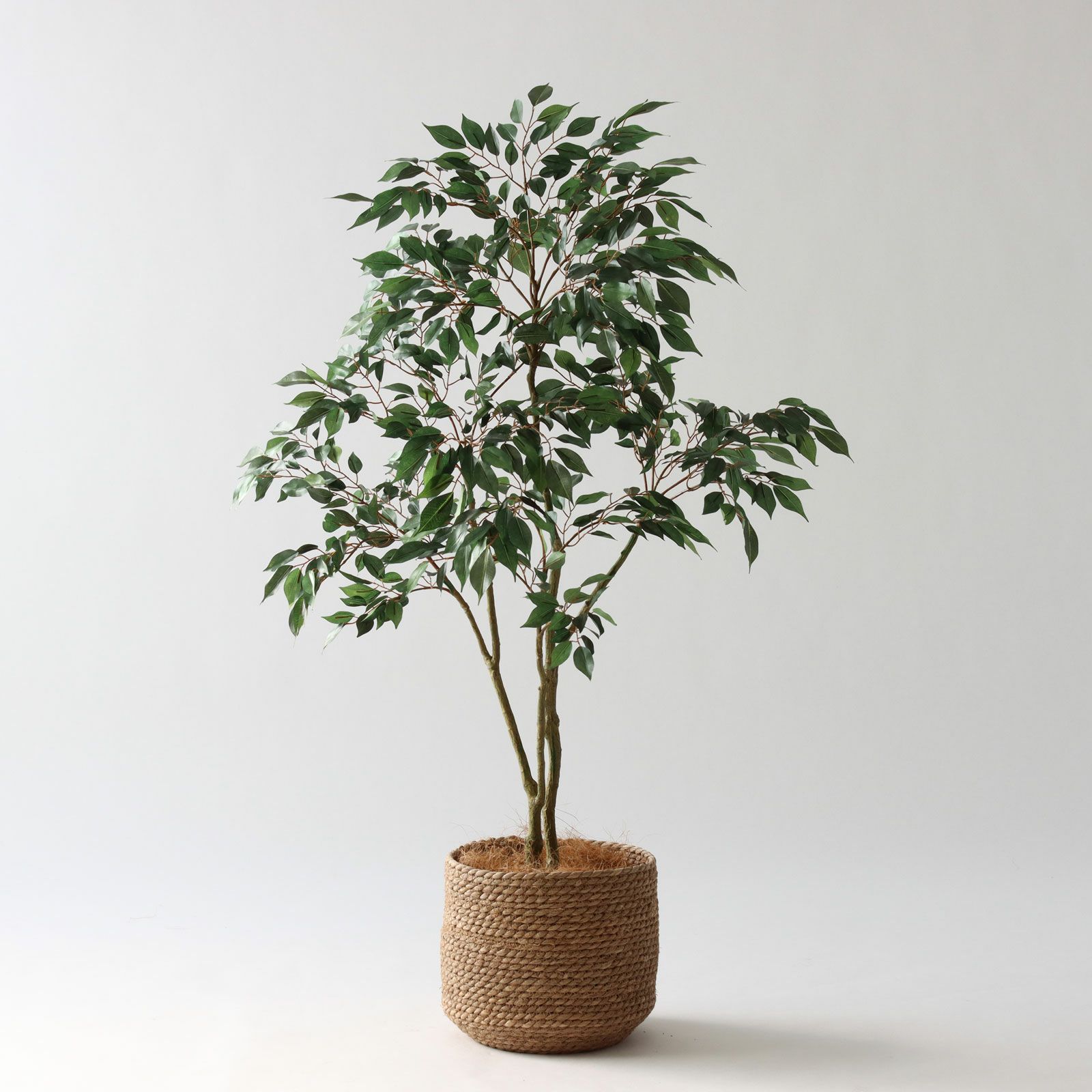 No8414 プレミアム光触媒フェイクグリーン 「軽やかな枝ぶり × 豊かな