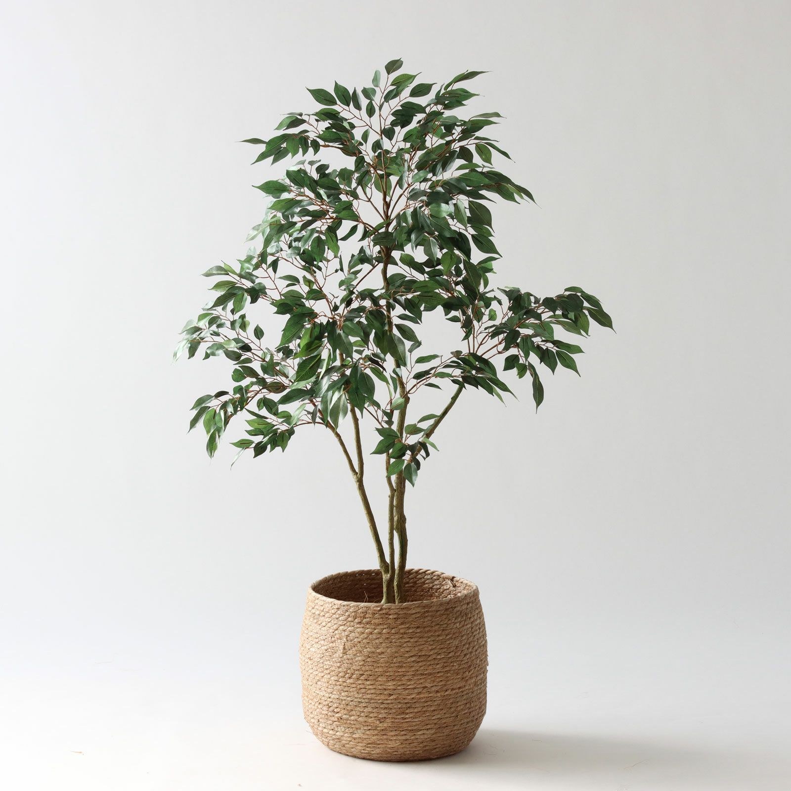 No8414 プレミアム光触媒フェイクグリーン 「軽やかな枝ぶり × 豊かな