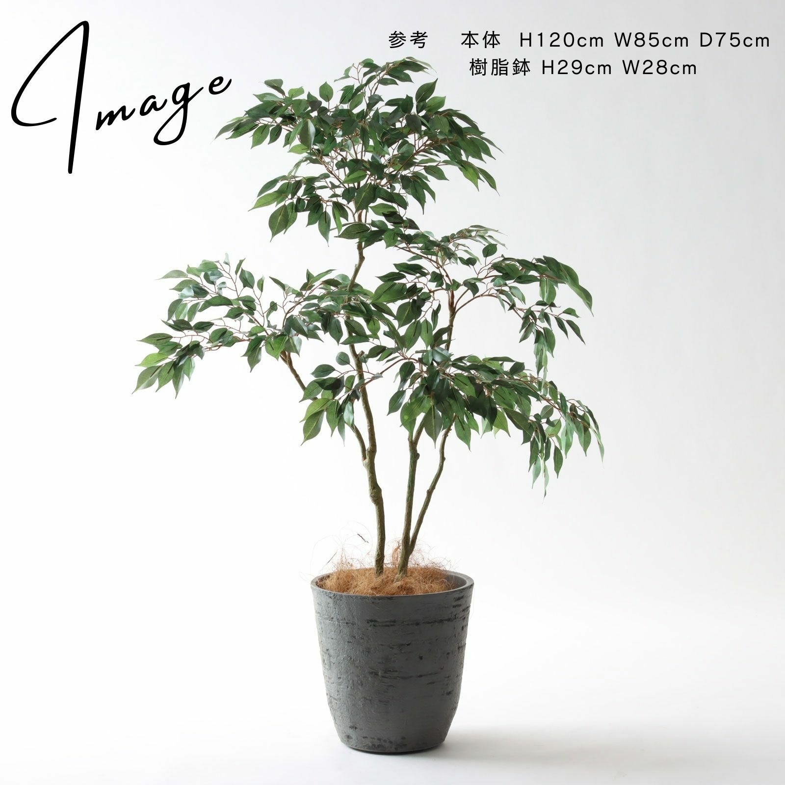 No8414 プレミアム光触媒フェイクグリーン 「軽やかな枝ぶり × 豊かな