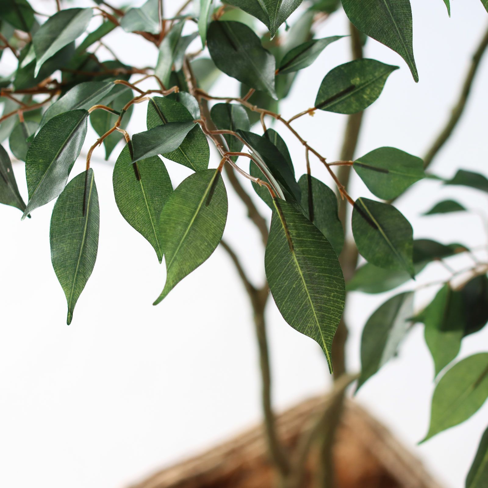 No8414 プレミアム光触媒フェイクグリーン 「軽やかな枝ぶり × 豊かな