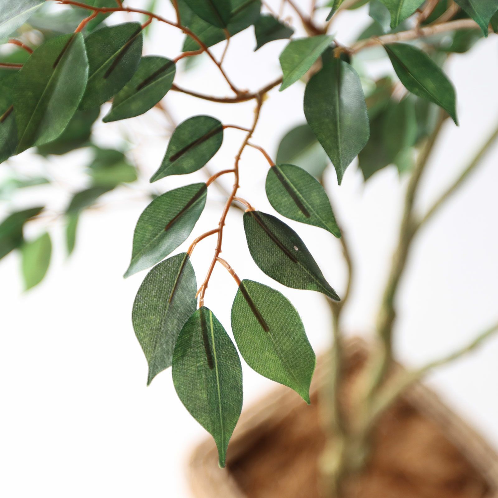 No8414 プレミアム光触媒フェイクグリーン 「軽やかな枝ぶり × 豊かな