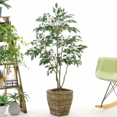 光触媒　ウォールグリーン　フェイクグリーン　グリーンスタンドプミラ 高さ 1m 光触媒 光の楽園 グリーンスタンドプミラ 高さ 1m 【インテリア