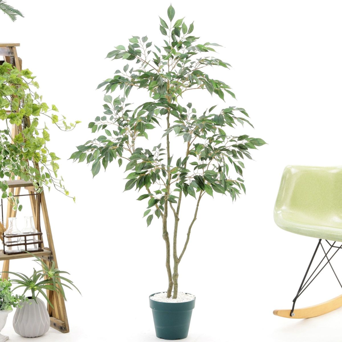 プラ鉢（+0円）