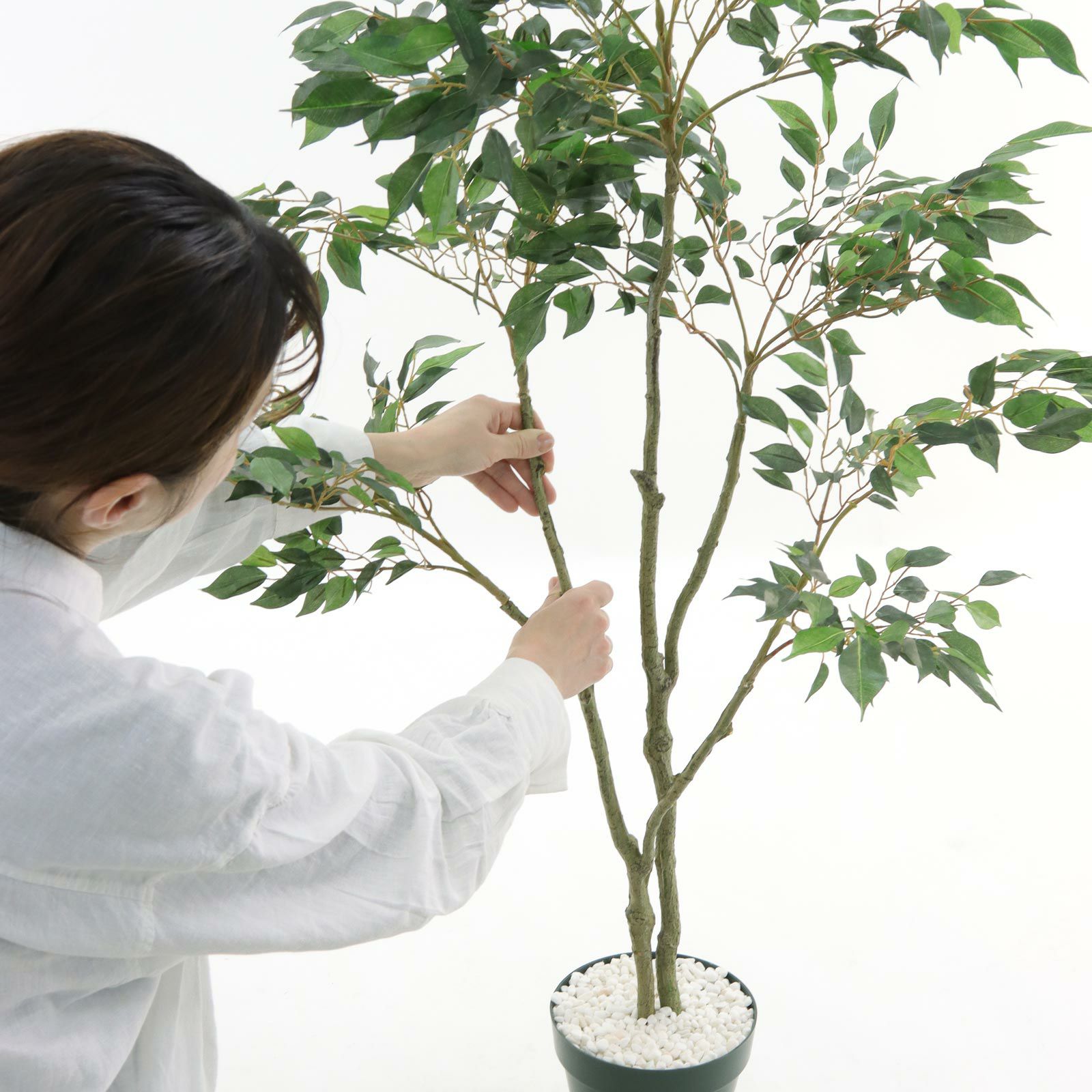 送料込み 観葉植物 フェイクグリーン 高さ約170cm 白鉢付き 直接手渡し可 楽天市場】フェイクグリーン オスマンサスツリー H約180cm 鉢