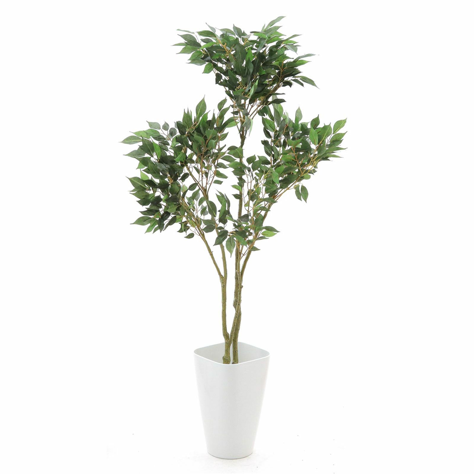 000000000085-28.jpg?t=