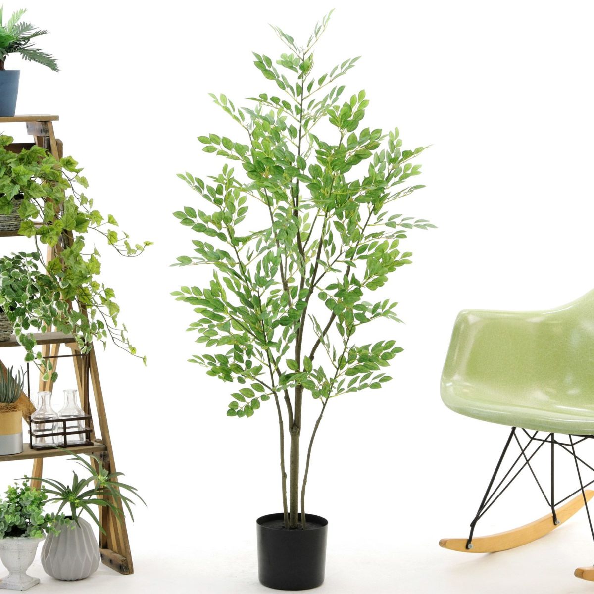 プラ鉢（+0円）