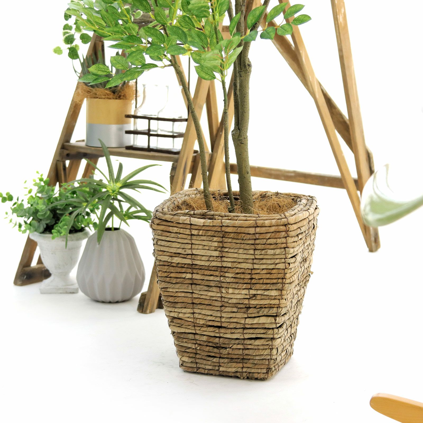 No9370 プレミアム光触媒フェイクグリーン 「繊細な葉がそよぐ