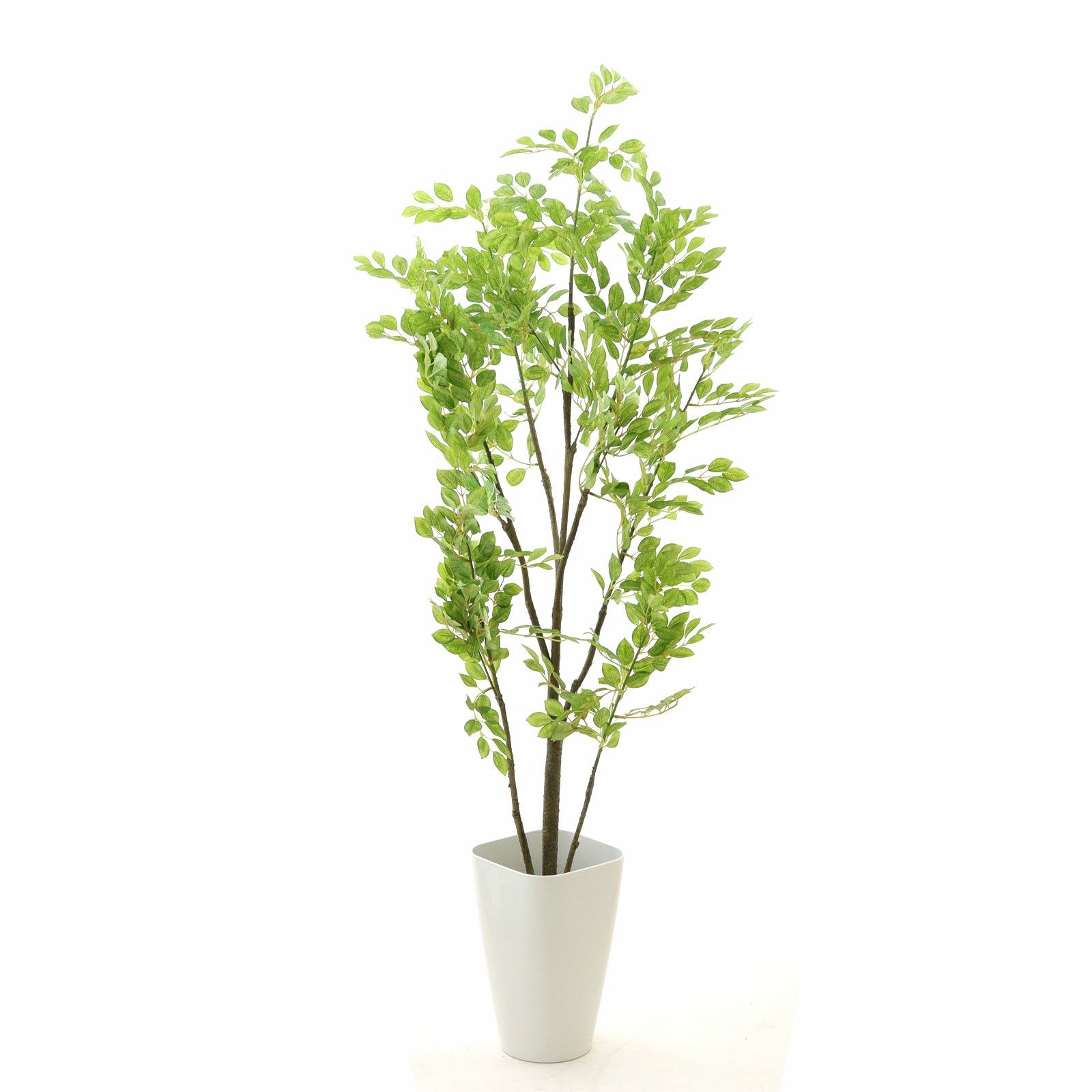 000000000088-36.jpg?t=