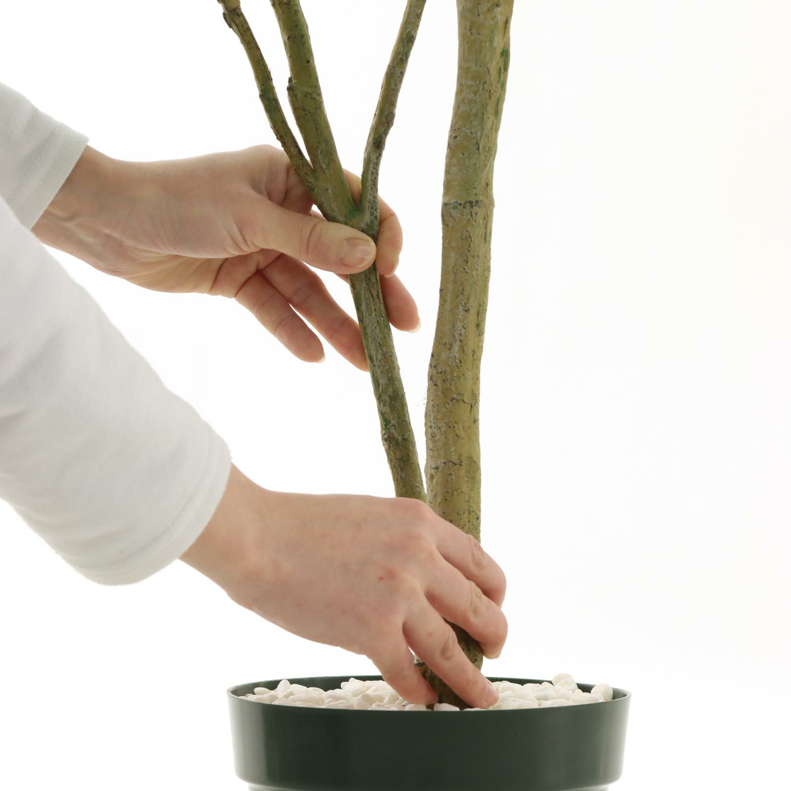 テラス用プラス花葉書80まい テラス用プラス花葉書80まい テラス用プラス花葉書80まい