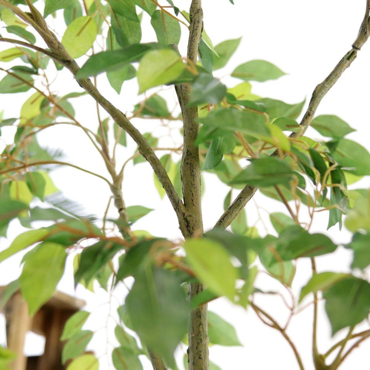 枝は自由に広げたり曲げたりできます。