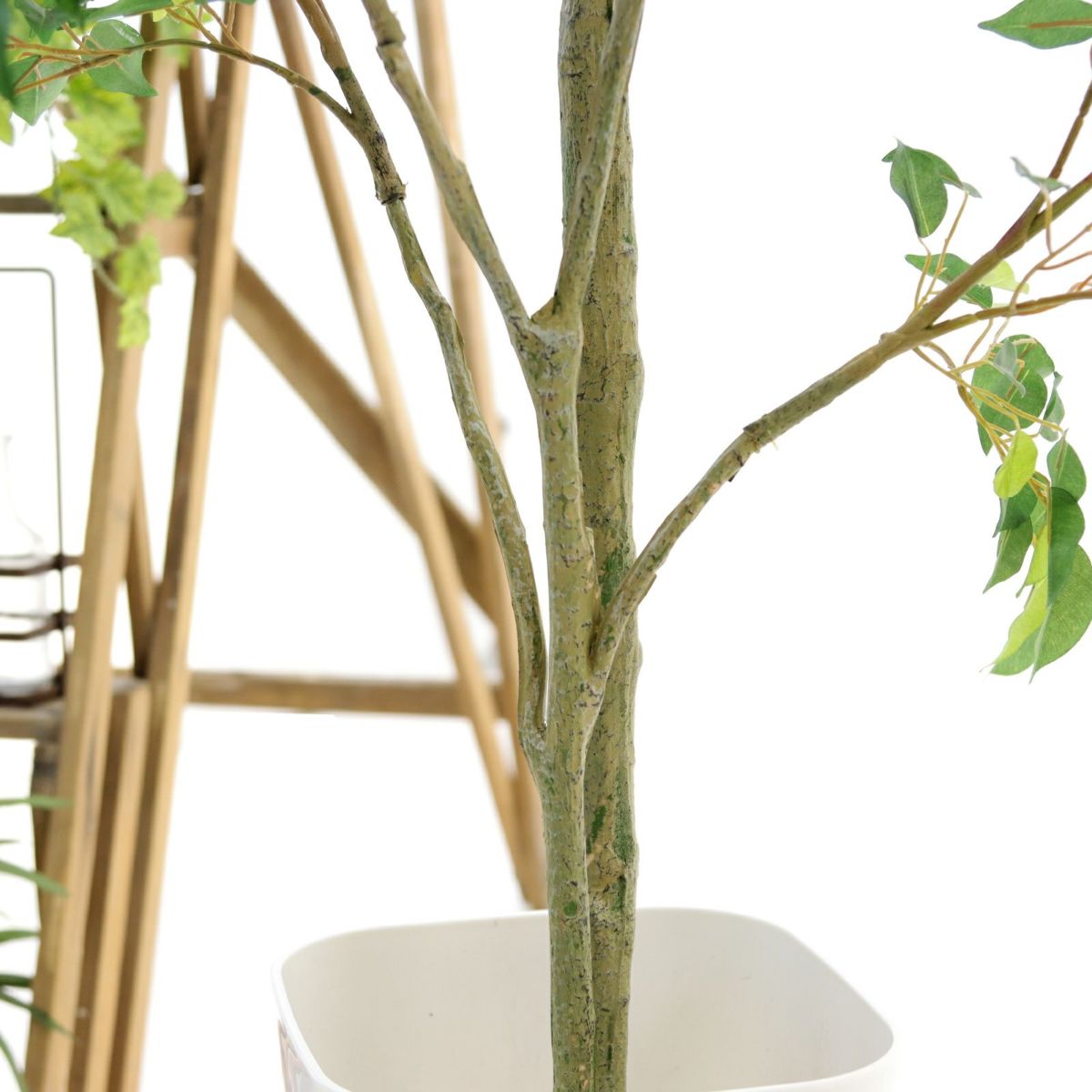 幹から伸びる枝は自由に広げたり曲げたりできます。