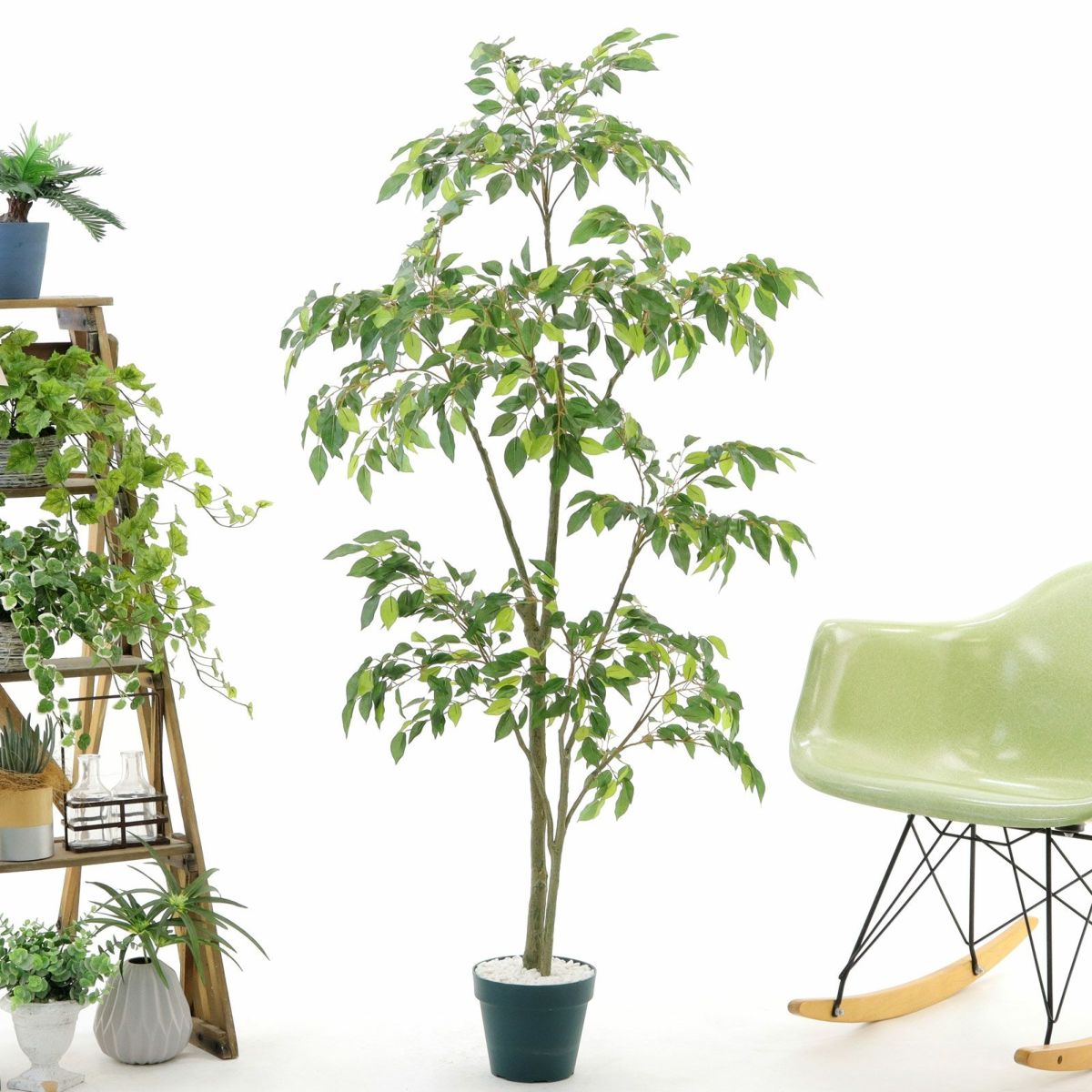 プラ鉢（+0円）