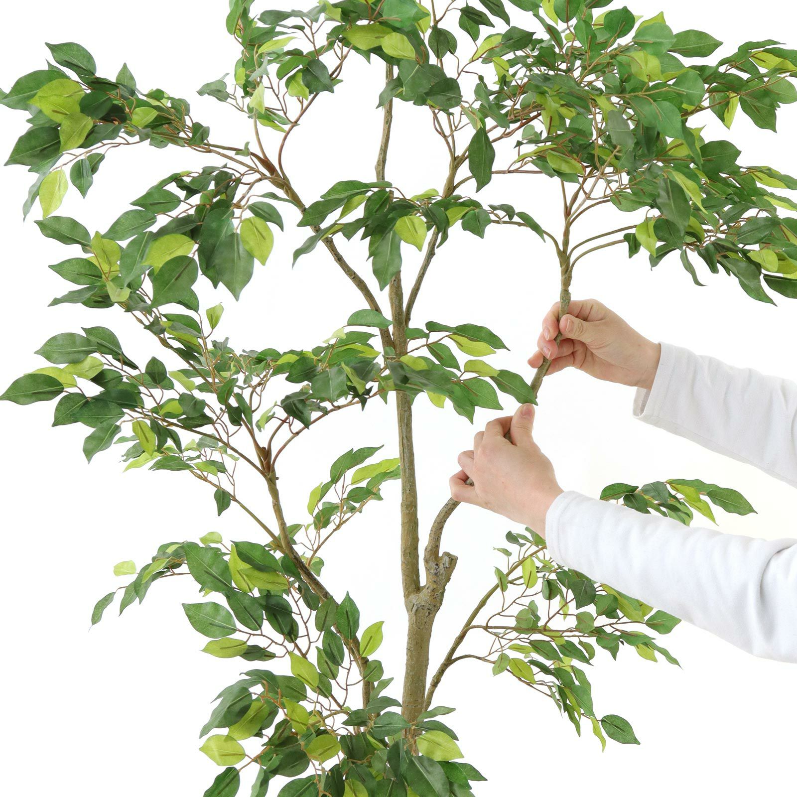 光触媒　人工観葉植物　フェイクグリーン　ベンジャミンスリム150FST 光触媒 光の楽園ベンジャミン 1.0m【インテリア フェイク