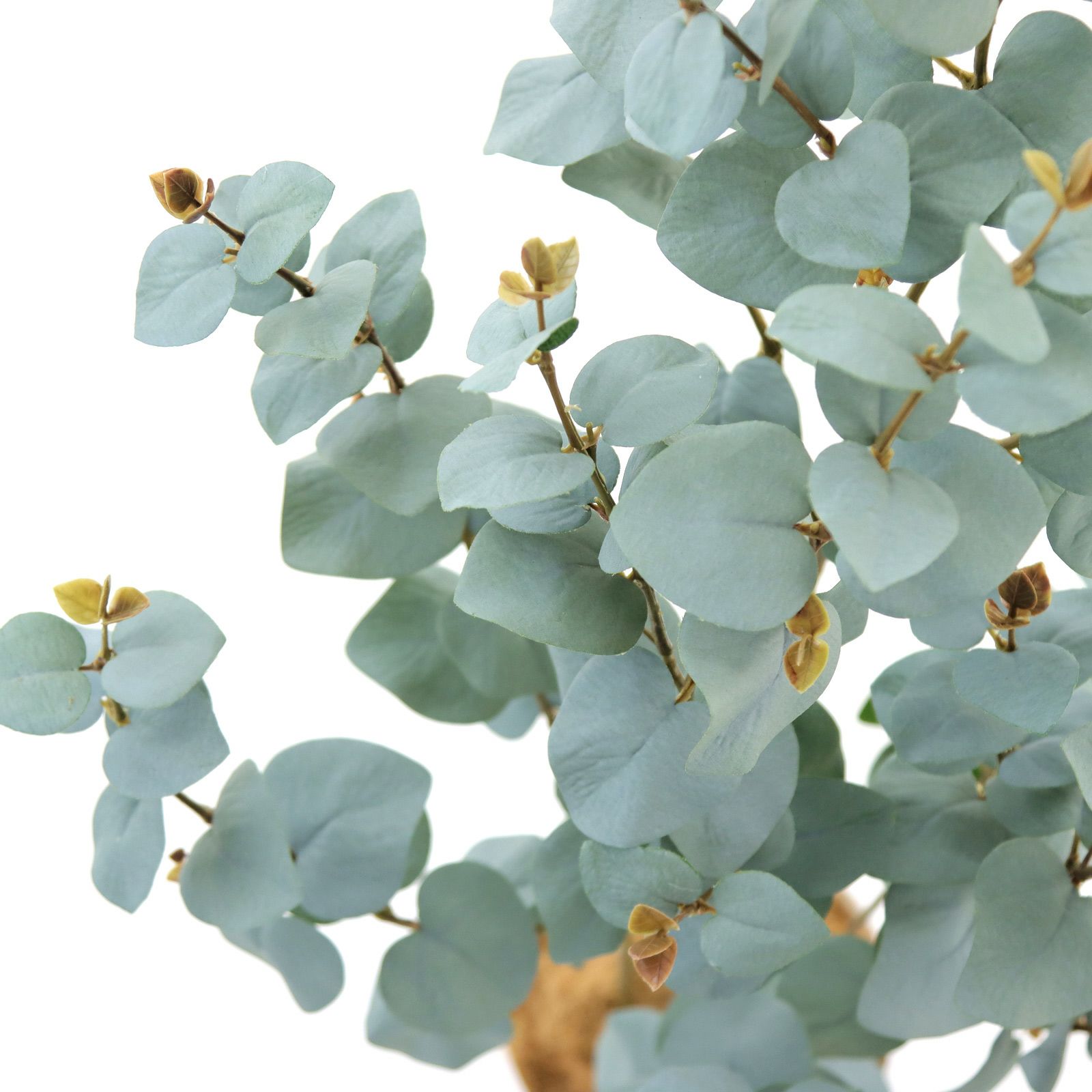 No プレミアム光触媒フェイクグリーン ユーカリ シルバーリーフ 3本立 高さ1cm 幅40cm 奥行40cm 造花ドットコム Zouka Com