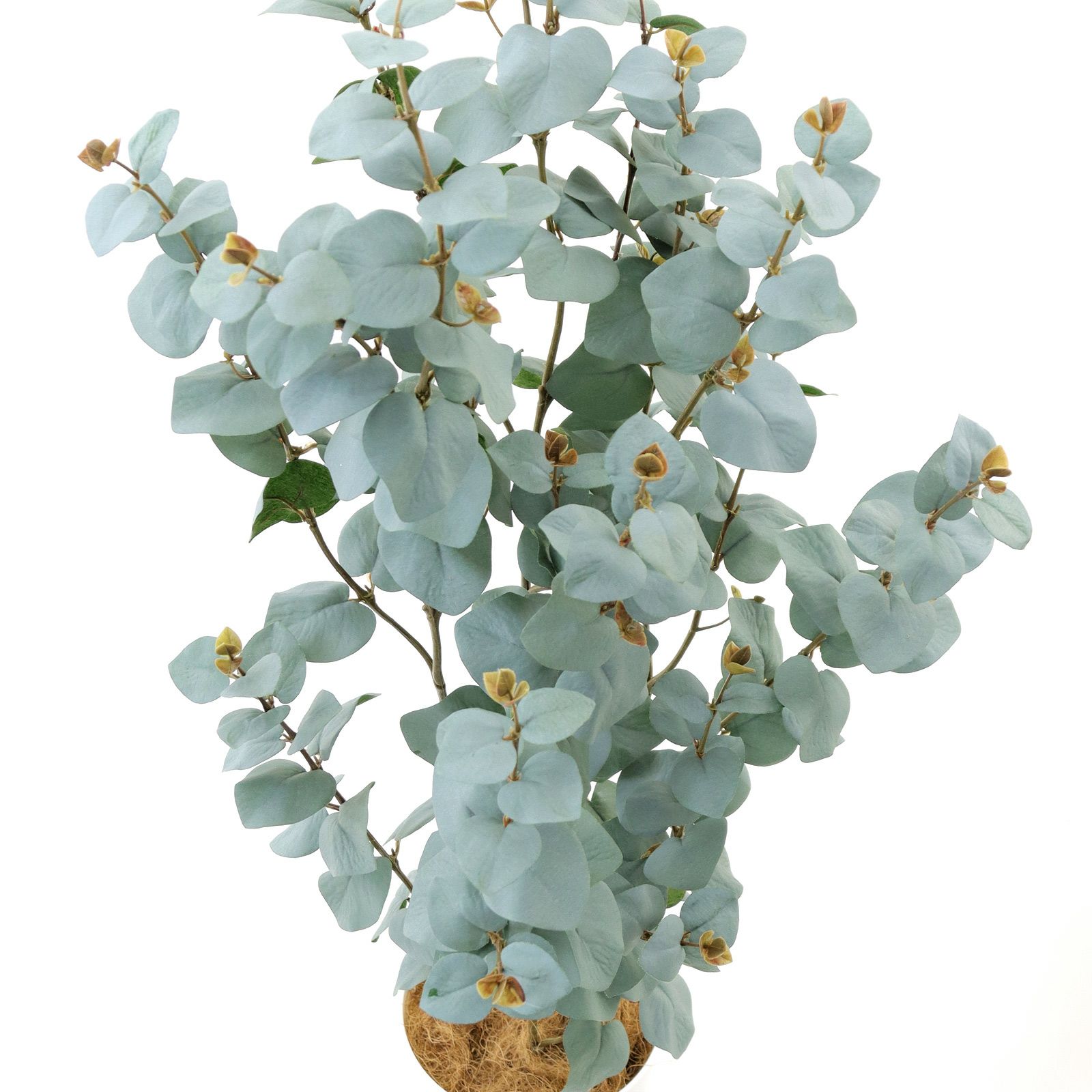 No プレミアム光触媒フェイクグリーン ユーカリ シルバーリーフ 4本立 高さ1cm 幅45cm 奥行45cm 造花ドットコム Zouka Com