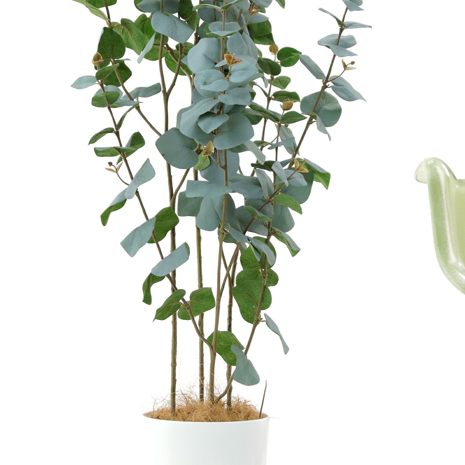 No プレミアム光触媒フェイクグリーン ユーカリ シルバーリーフ 4本立 高さ1cm 幅45cm 奥行45cm 造花ドットコム Zouka Com