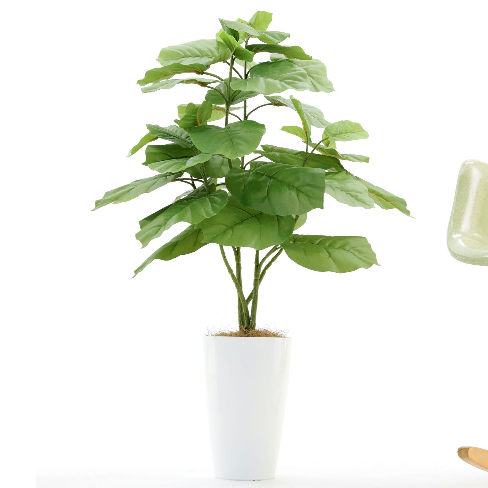 楽天市場】人工観葉植物 ウンベラータ フェイクグリーン 大型