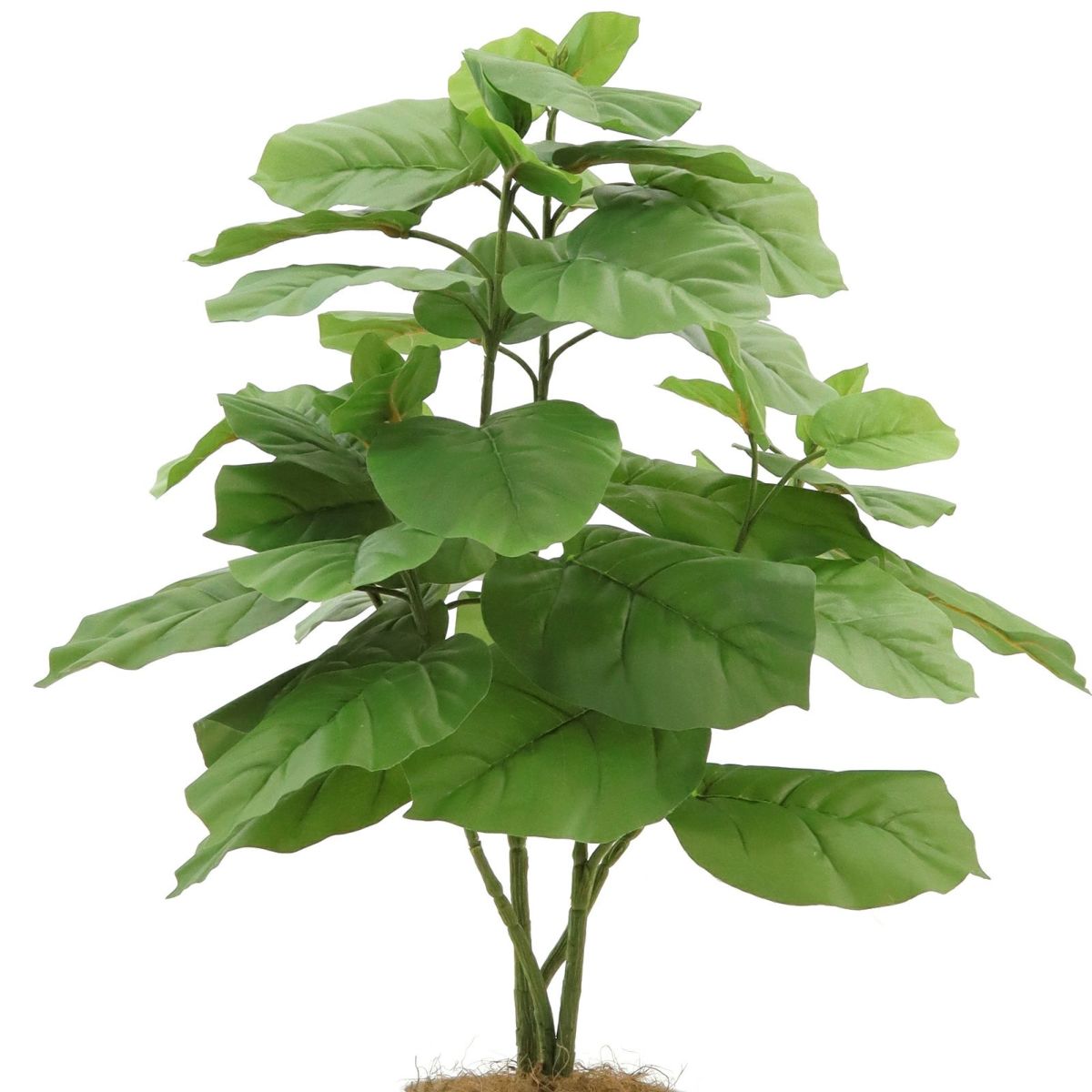 フェイクグリーン ウンベラータ 2本立