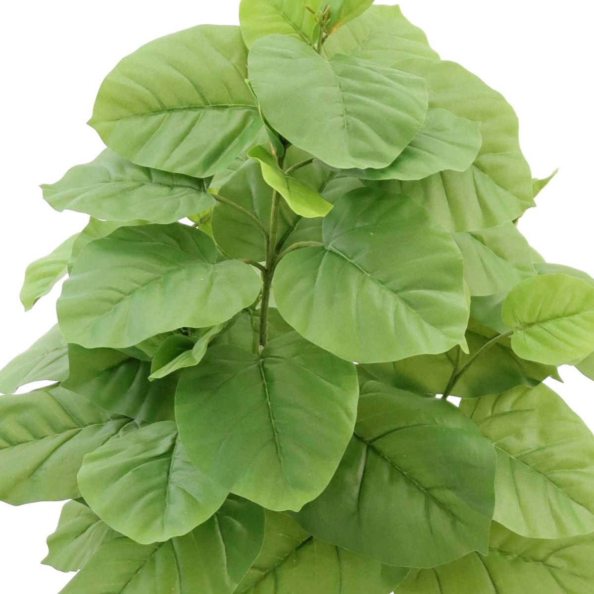 フェイクグリーン ウンベラータ 2本立