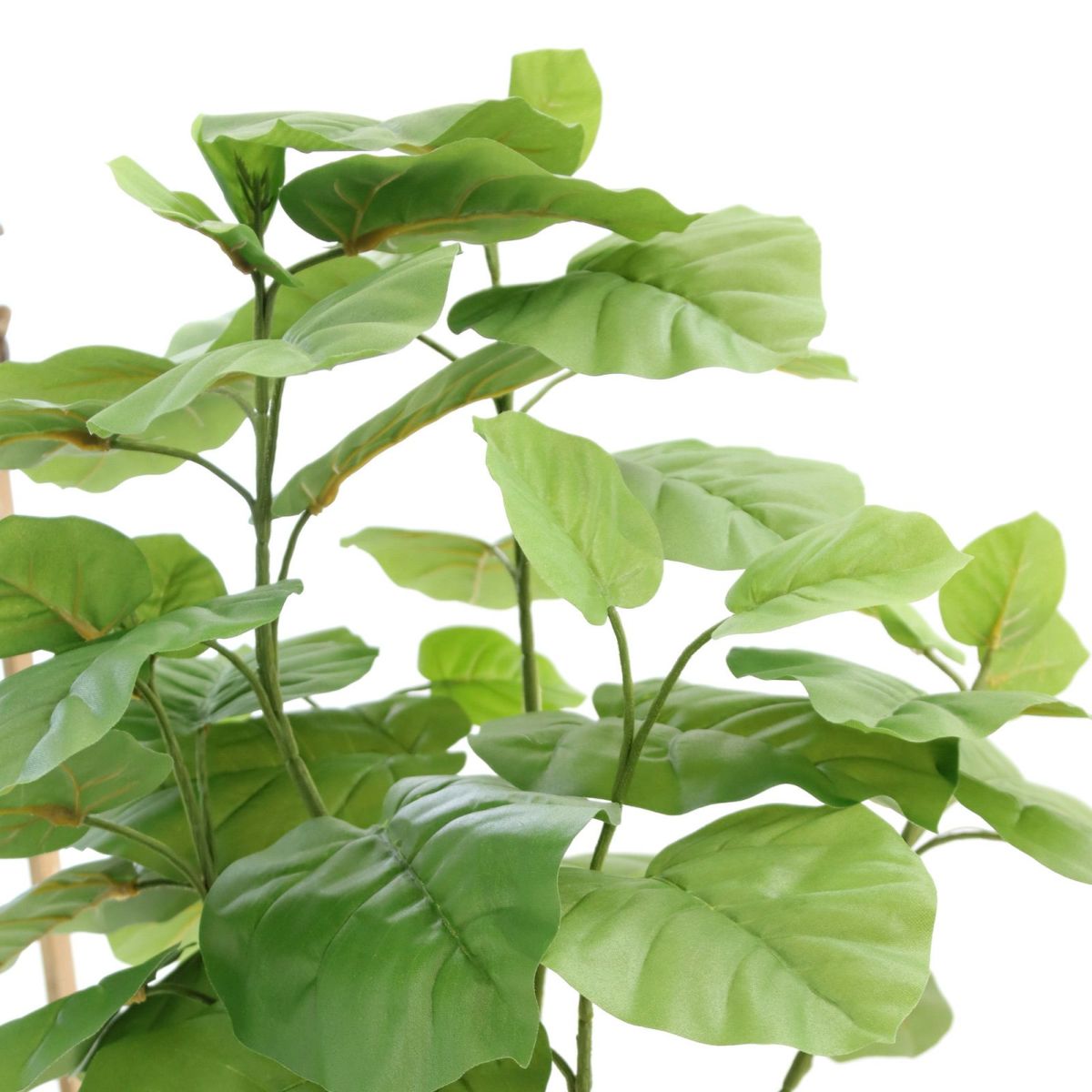 フェイクグリーン ウンベラータ 2本立