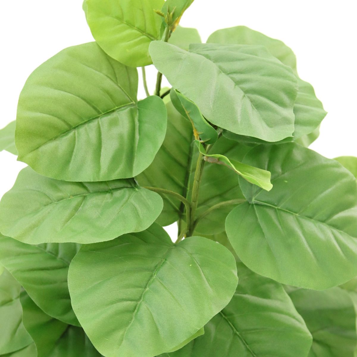 フェイクグリーン ウンベラータ 2本立