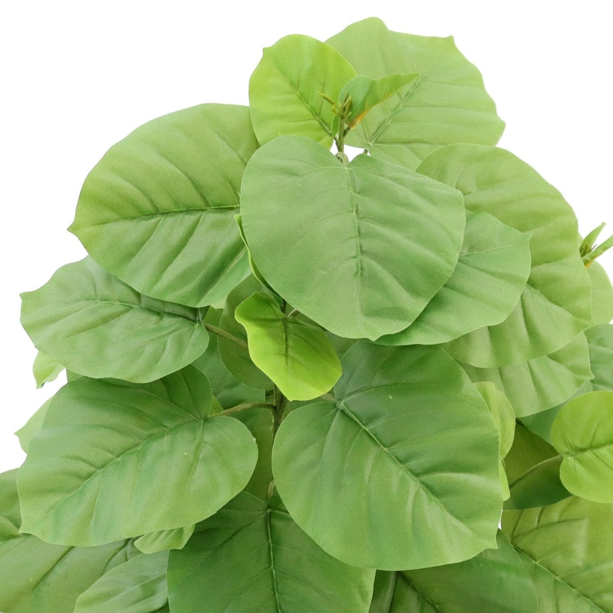 フェイクグリーン ウンベラータ 2本立