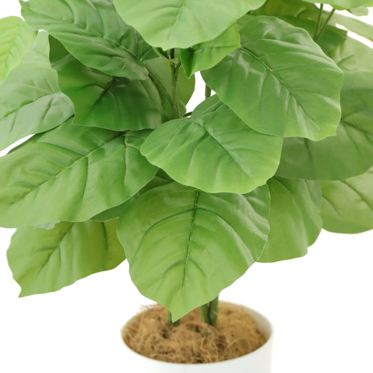 フェイクグリーン ウンベラータ 2本立