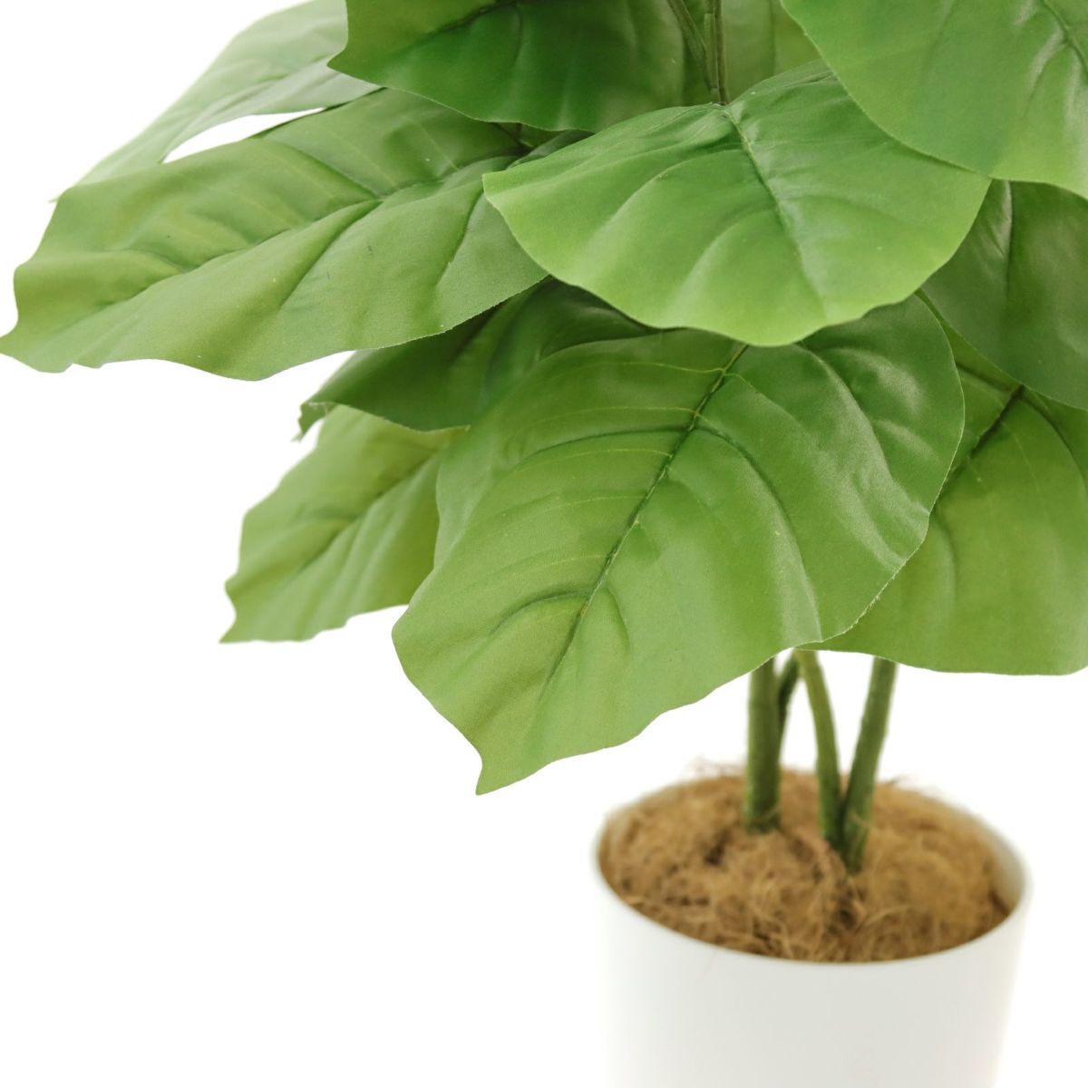 フェイクグリーン ウンベラータ 2本立